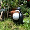 Gorilla in the garden